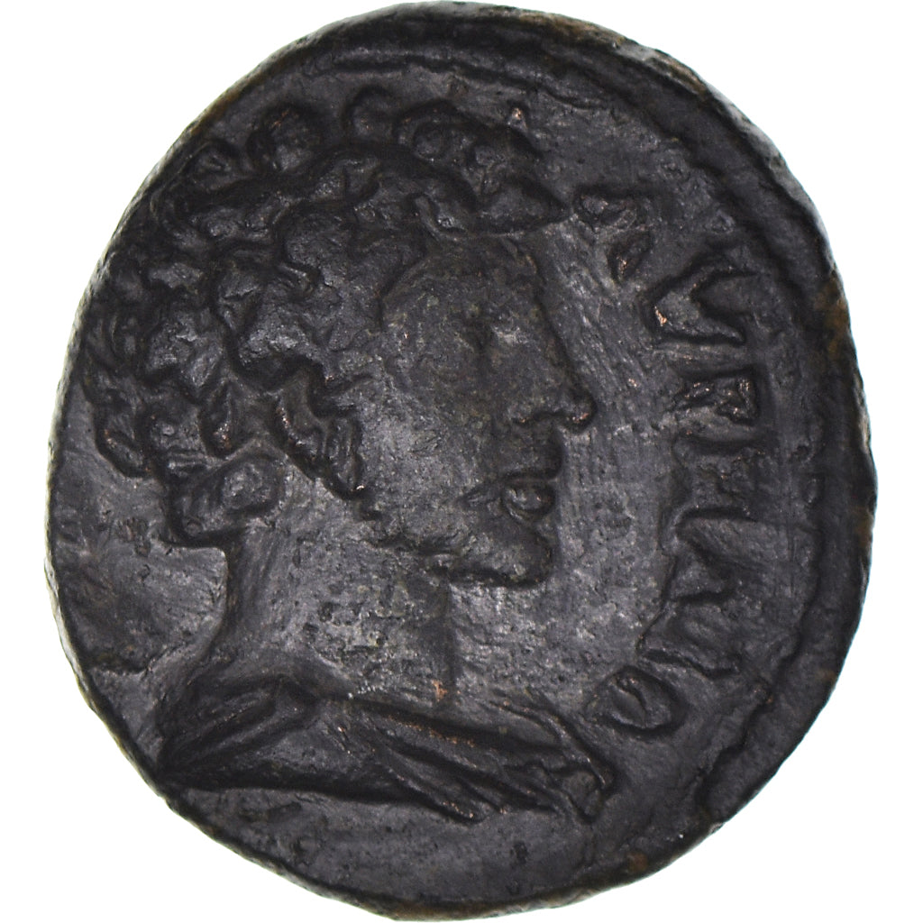 Acuñar,
lidia,
Marco Aurelio