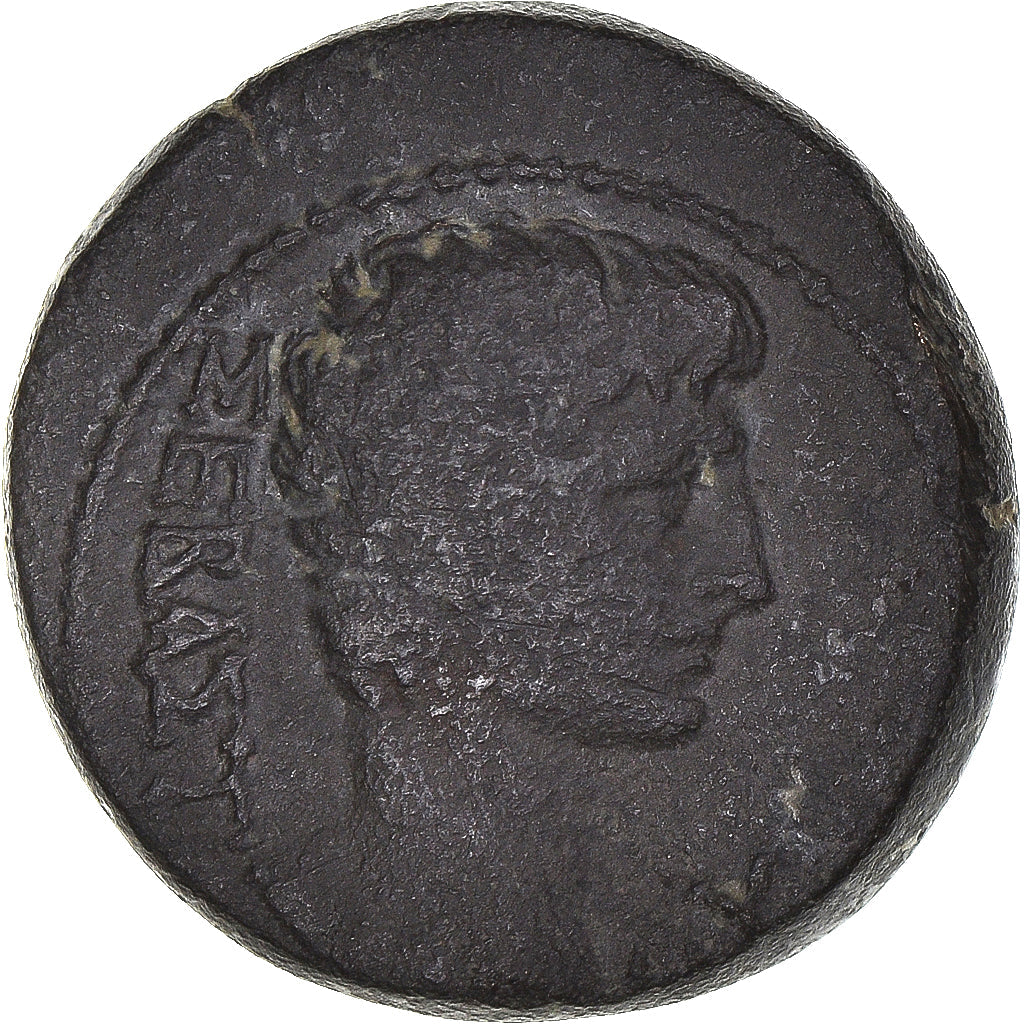 Acuñar,
lidia,
Augusto