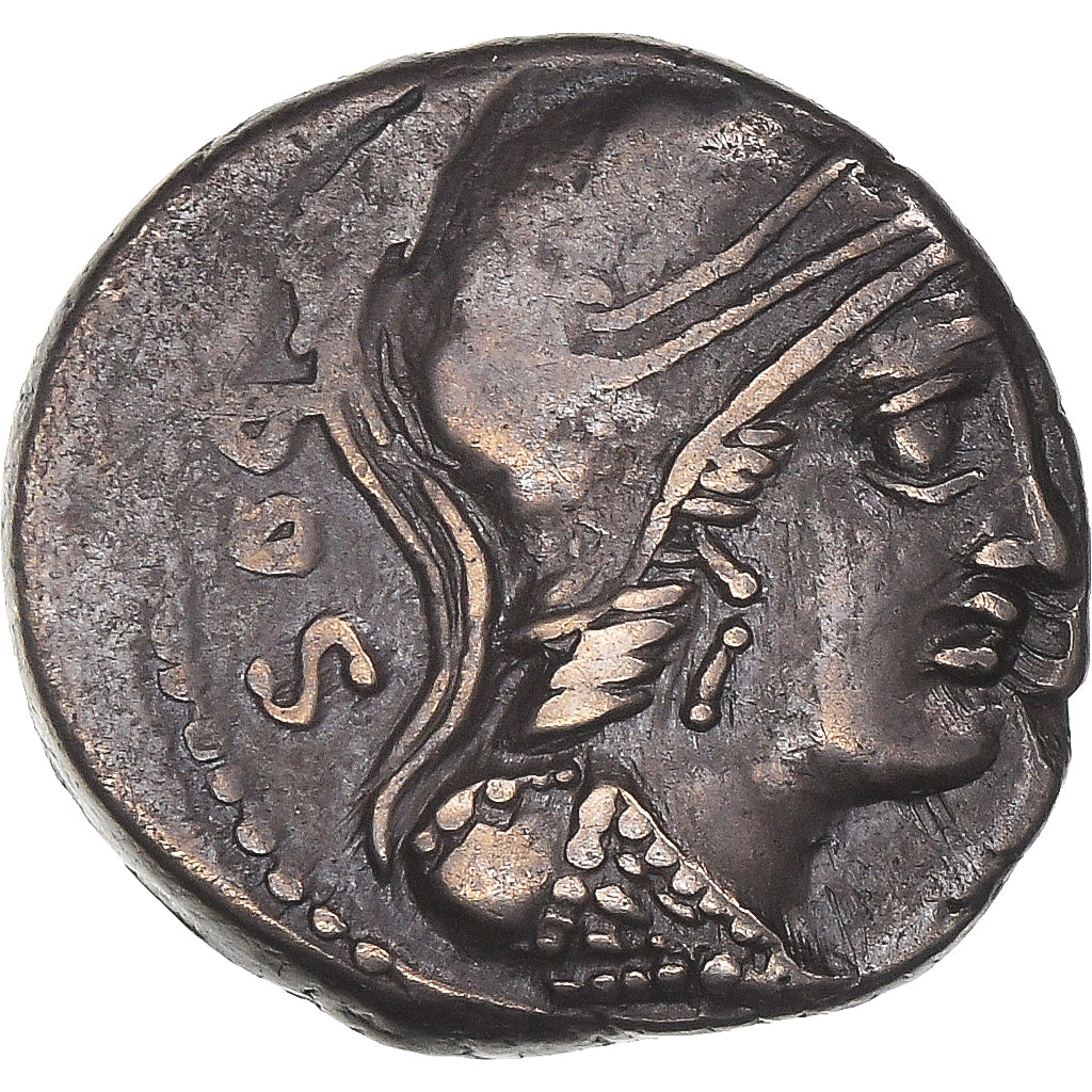Acuñar,
Rubría,
Denario