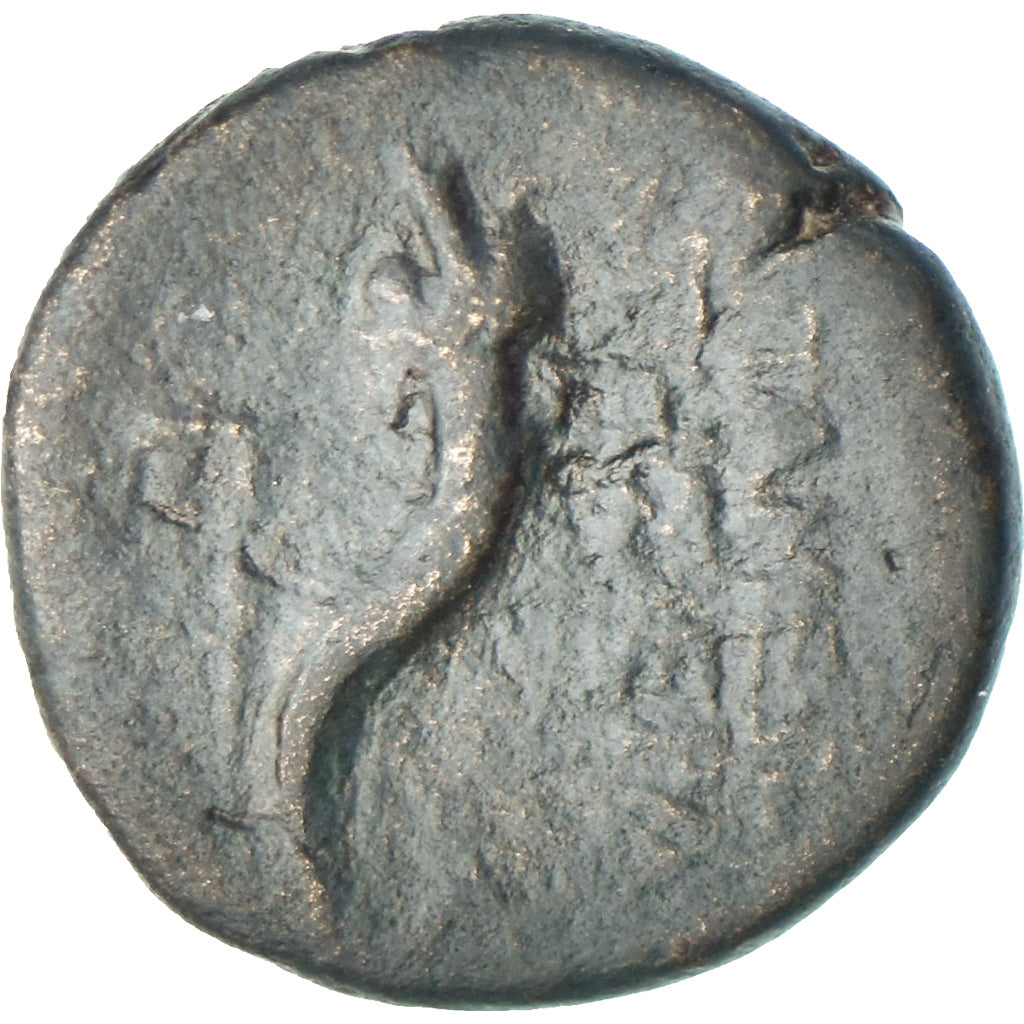 Seleucis y Pieria,
Pseudoautónoma,
Æ