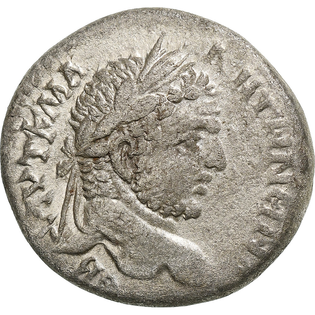 Seleucis y Pieria,
Caracalla,
tetradracma