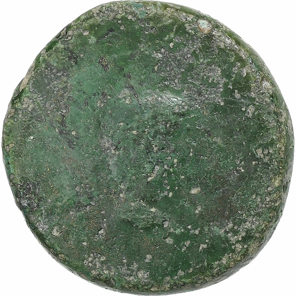 Germánico con Druso,
Æ Unidad,
14-19