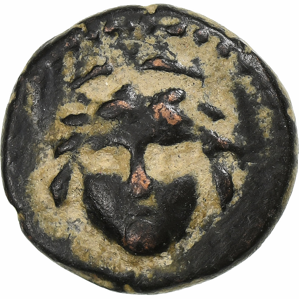 licaonia,
Vespasiano,
Æ Unidad
