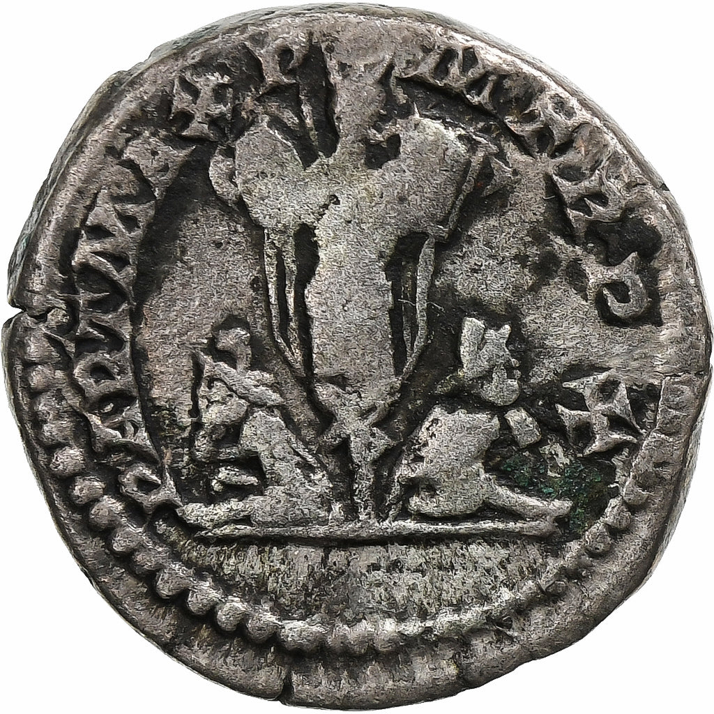 Septimio Severo,
Denario,
202