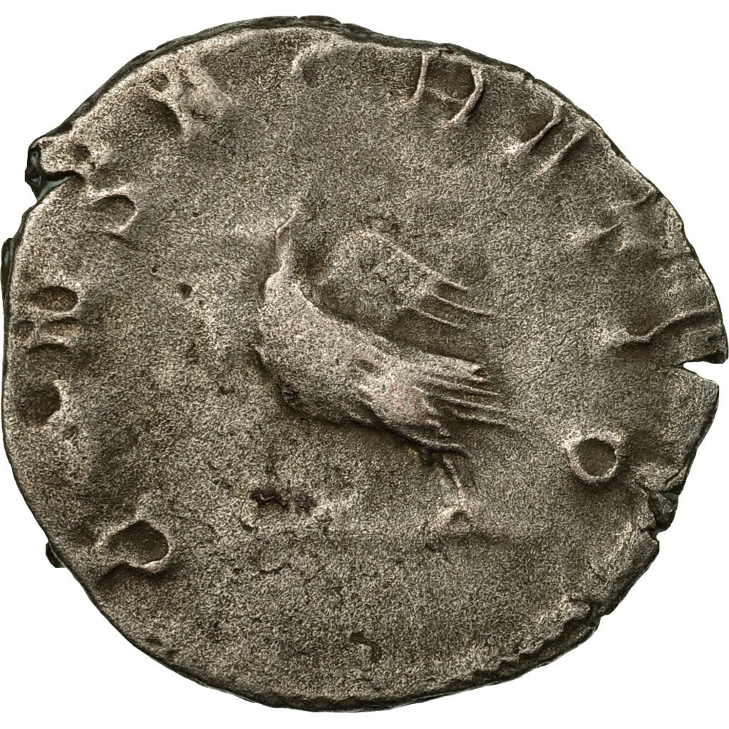 Moneda,
Valeriano II,
Antoniniano