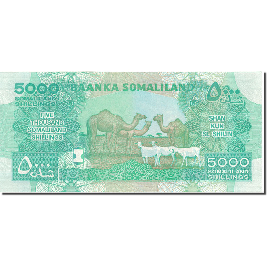 Billete de Somalilandia,
5000 chelines