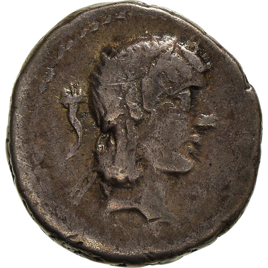 Acuñar,
calpurnia,
quinario
