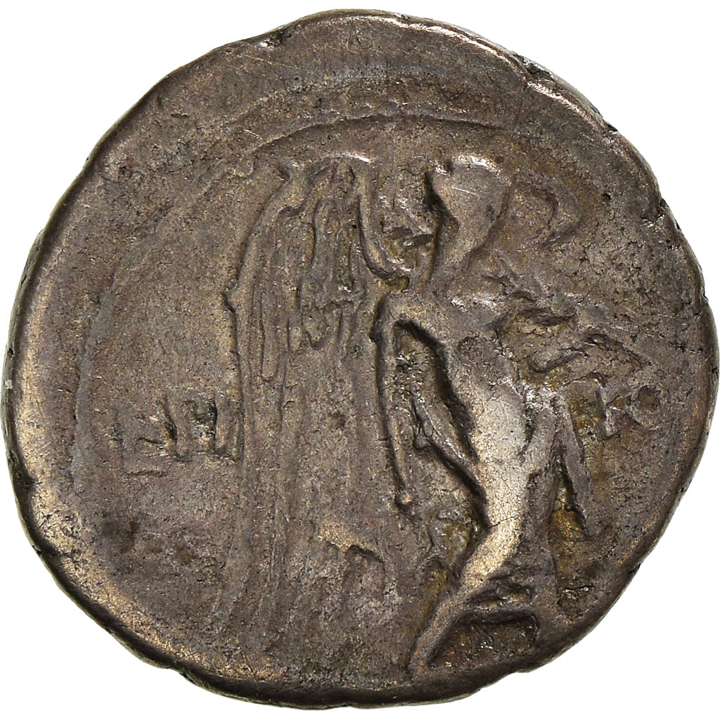 Acuñar,
calpurnia,
quinario