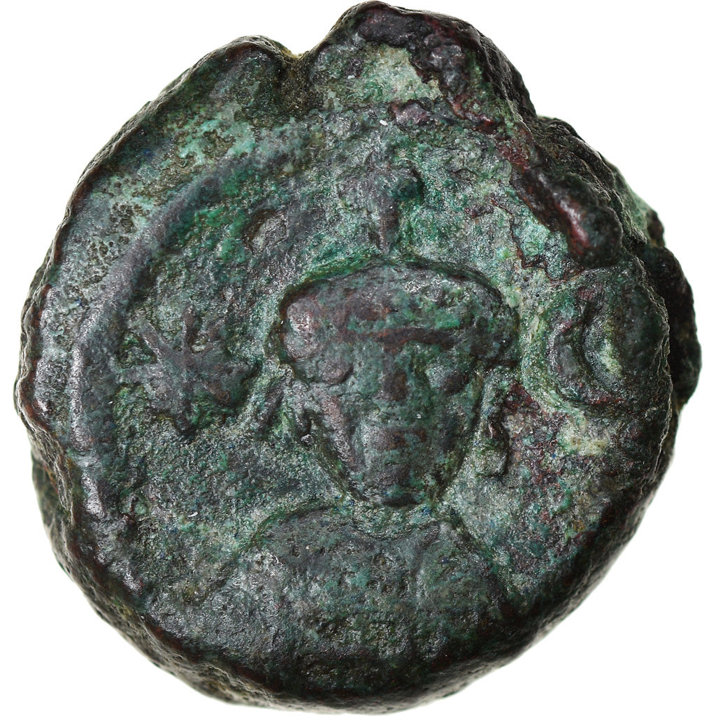 Acuñar,
Heraclio,
12 Numi