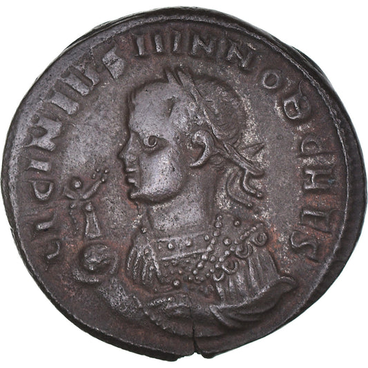 Acuñar, 
  
  Licinio II, 
  
  Follis