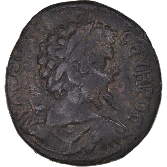 Acuñar, 
  
  Moesia Inferior, 
  
  Septimio Severo