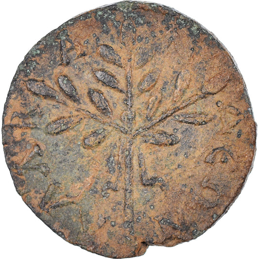 Acuñar, 
  
  caria, 
  
  Caracalla