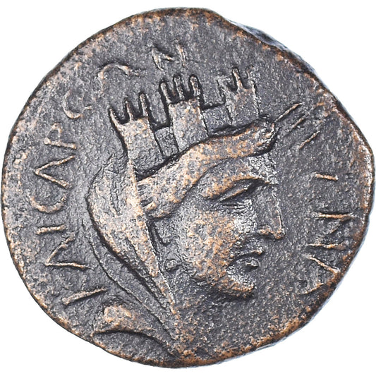 Moneda,

Cilicia,

Pseudoautónoma