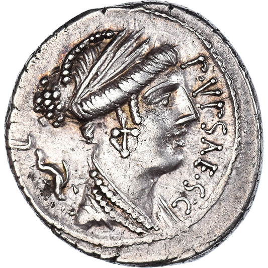 Acuñar, 
  
  plautia, 
  
  Denario