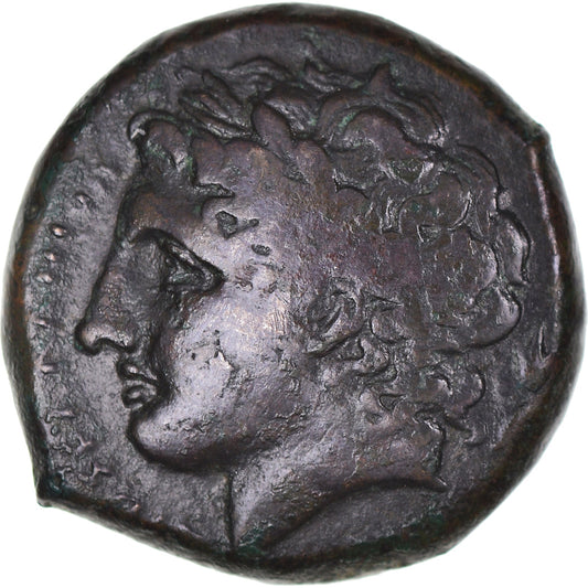 Moneda,

Sicilia,

Hiketas II