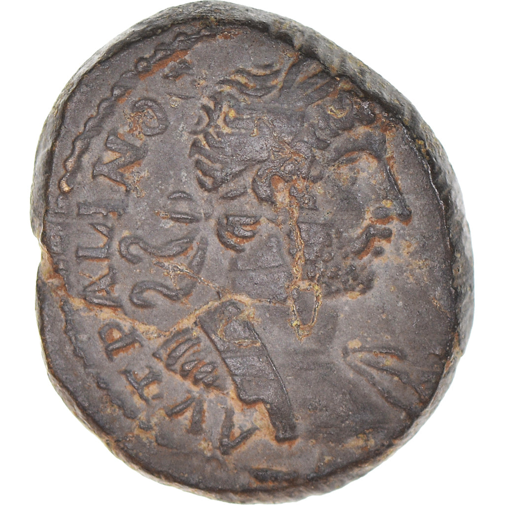 Moneda,

Lidia,

Adriano