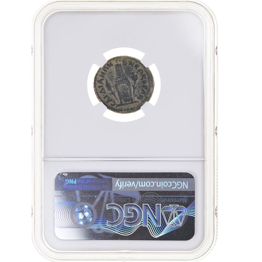 Moneda,

Lydia,

Anónimo