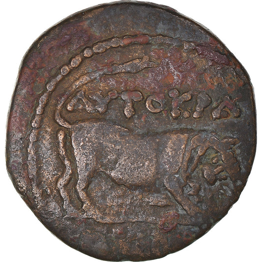Moneda, Egipto, Claudio