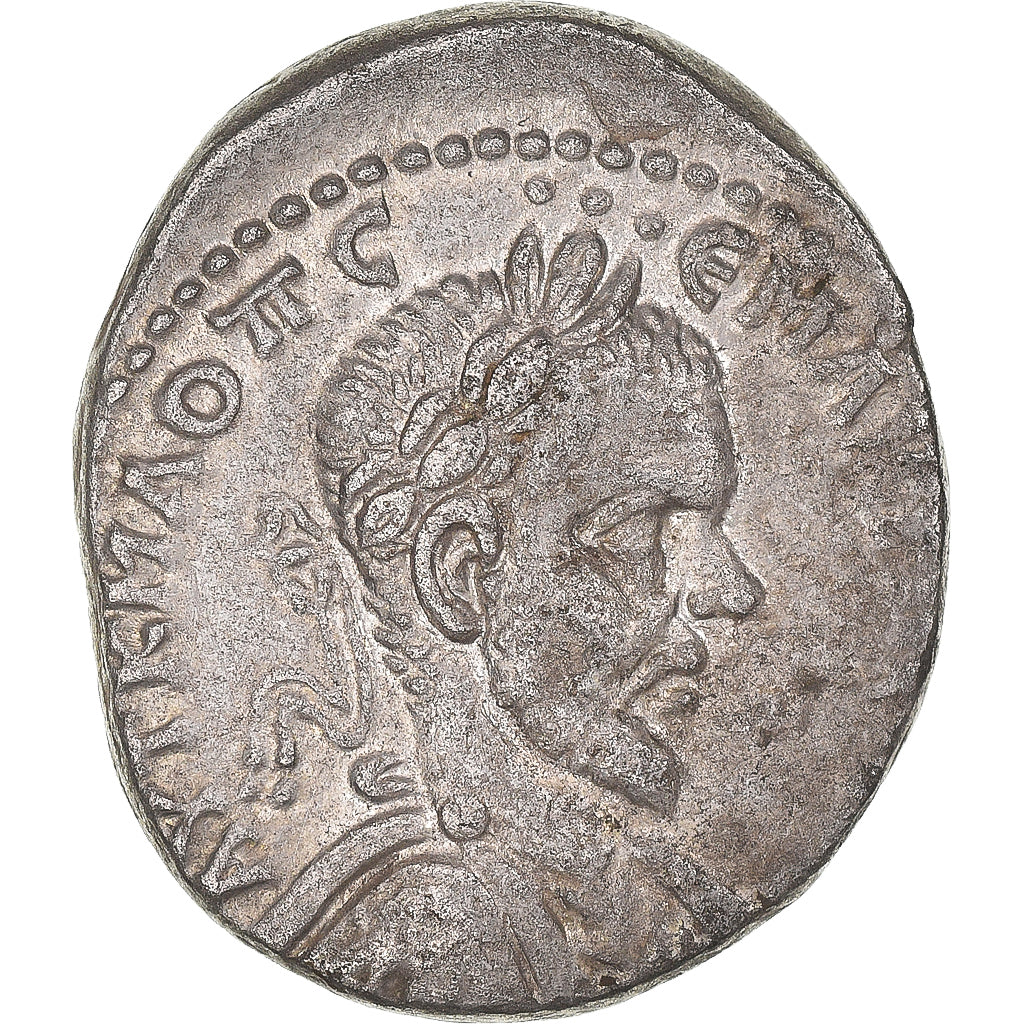 Acuñar, 
  
  cirrestica, 
  
  Macrino