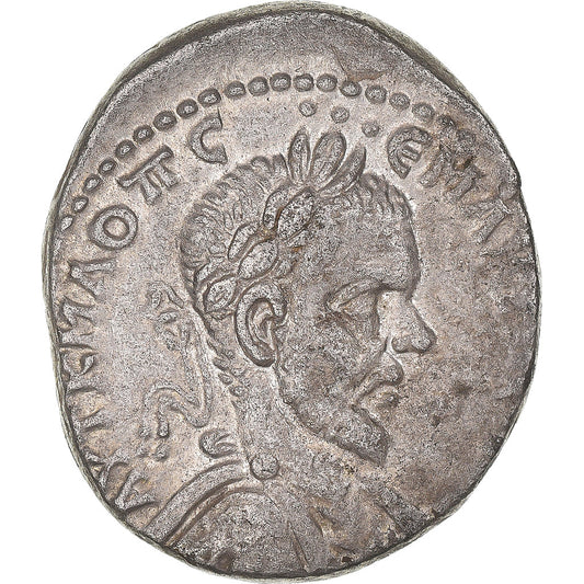 Acuñar, 
  
  cirrestica, 
  
  Macrino