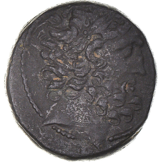 Moneda,

Seleucis y Pieria,

Tetrachalcon