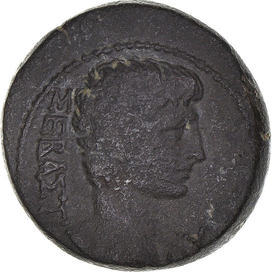 Acuñar, 
  
  lidia, 
  
  Augusto