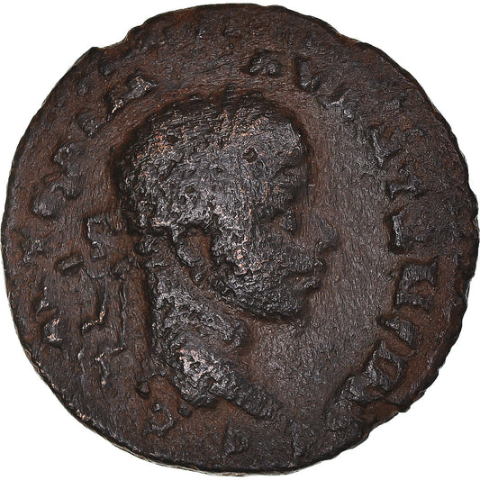 Acuñar, 
  
  Seleucis y Pieria, 
  
  Heliogábalo y Julia Maesa