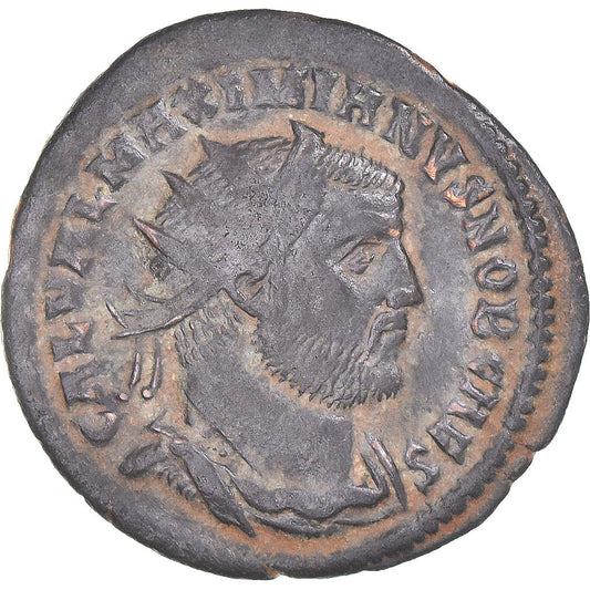 Acuñar, 
  
  Galerio, 
  
  Æ fracción radiada