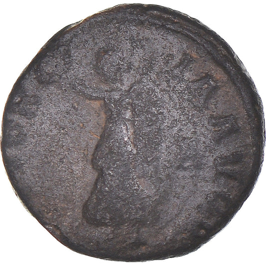 Acuñar, 
  
  época de Maximino II, 
  
  Follis