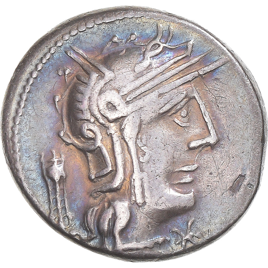 Moneda,

Opimia,

Denario