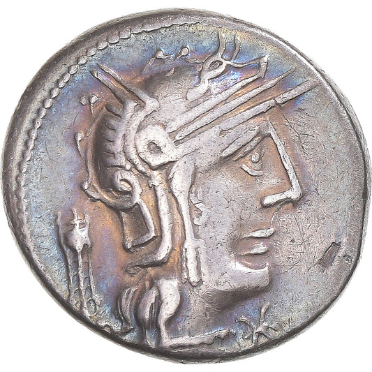 Moneda,

Opimia,

Denario
