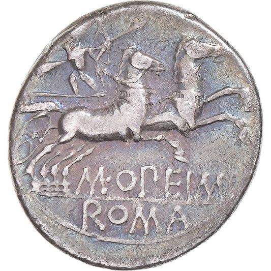 Moneda,

Opimia,

Denario