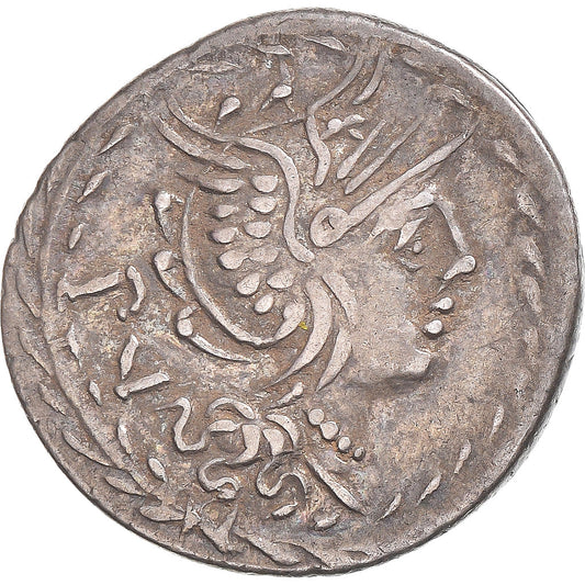 Acuñar, 
  
  lucilia, 
  
  Denario