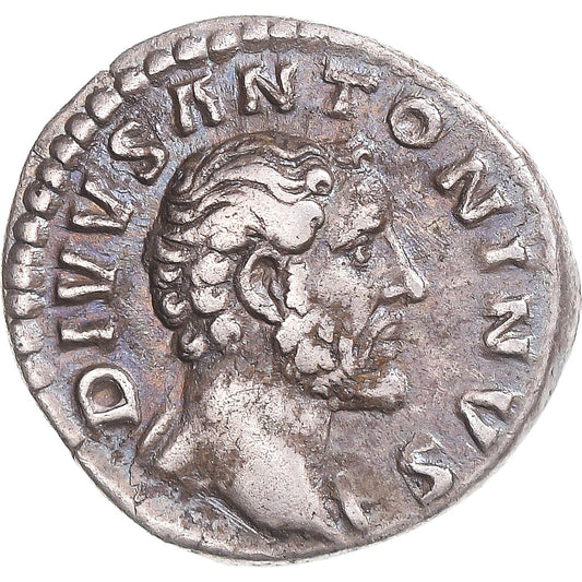Acuñar, 
  
  Divus Antonino Pío, 
  
  Denario