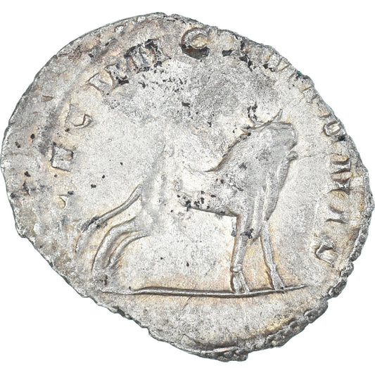 Galieno, 
  
  Antoniniano, 
  
  260-269