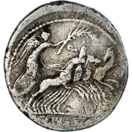 Acuñar, 
  
  Fabia, 
  
  Denario