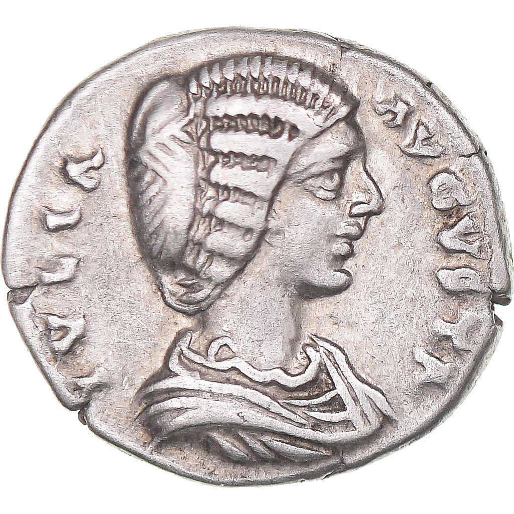 Julia Domna, 
  
  Denario, 
  
  196-211