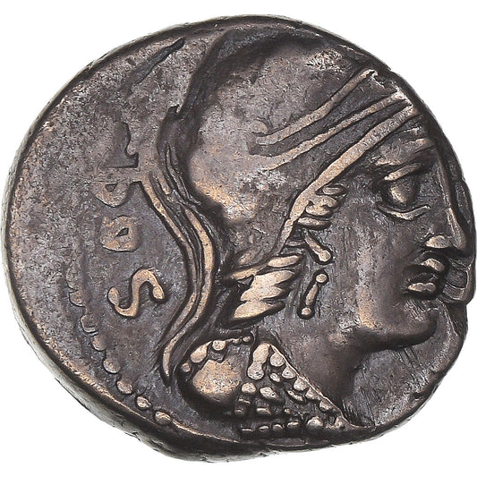 Acuñar, 
  
  Rubría, 
  
  Denario