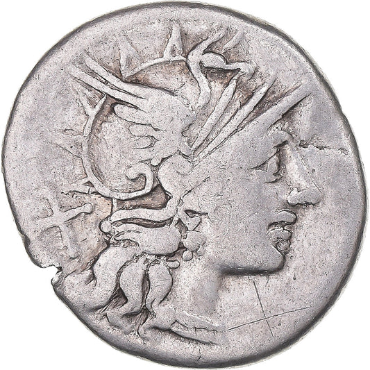 Acuñar, 
  
  saufeia, 
  
  Denario