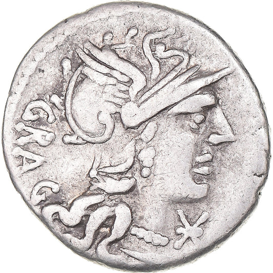 Acuñar, 
  
  Antestia, 
  
  Denario