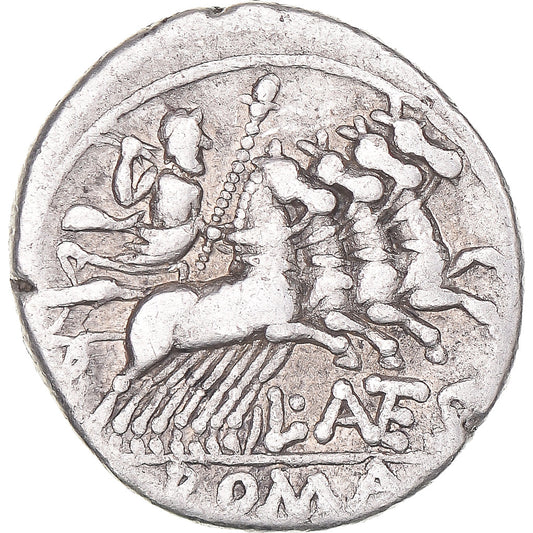 Acuñar, 
  
  Antestia, 
  
  Denario