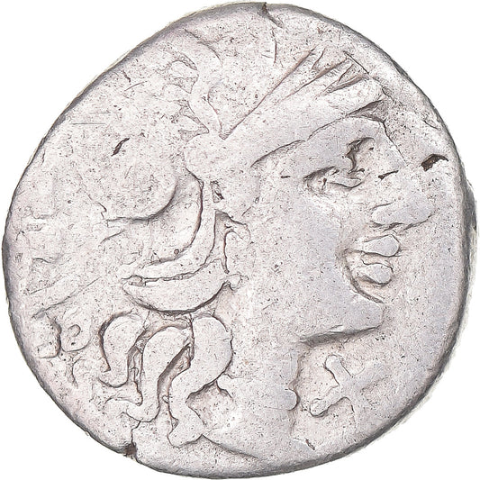 Acuñar, 
  
  lucrecia, 
  
  Denario
