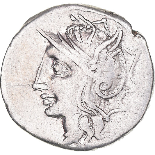 Acuñar, 
  
  Apulia, 
  
  Denario