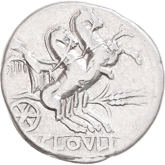 Moneda,

Cloulia,

Denario