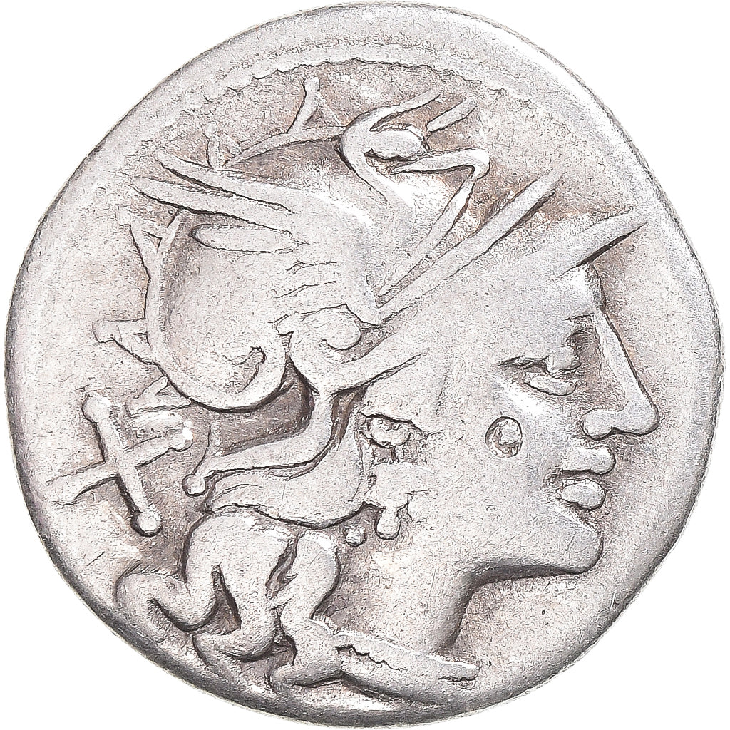 Acuñar, 
  
  safra, 
  
  Denario
