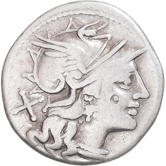 Acuñar, 
  
  safra, 
  
  Denario