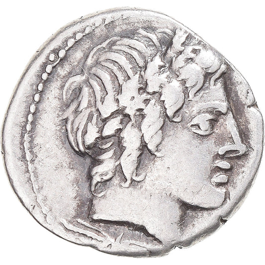 Moneda,

Gargilius,

Ogulnius