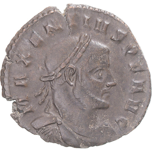 Acuñar, 
  
  Majencio, 
  
  Bronce Æ