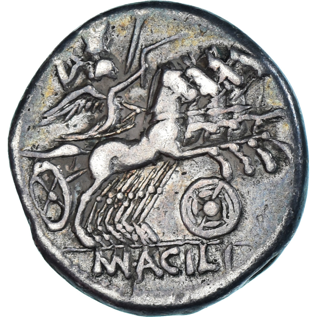 Acuñar, 
  
  acilia, 
  
  Denario
