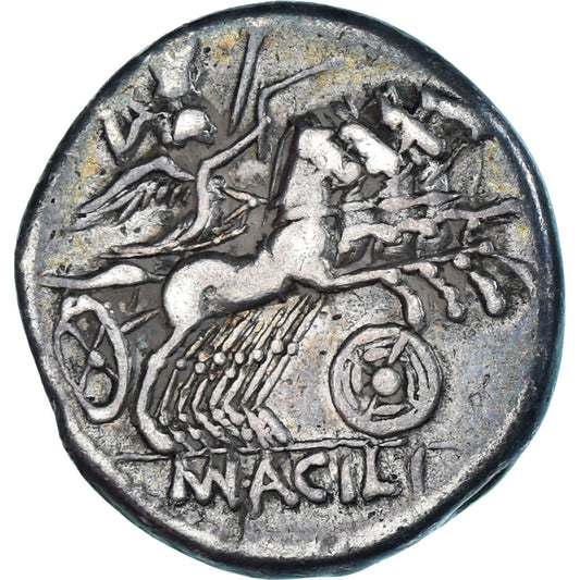 Acuñar, 
  
  acilia, 
  
  Denario